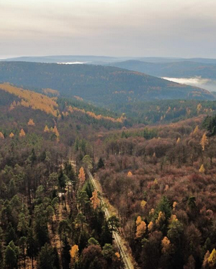 Throwback: Ein Blick über den Spessart