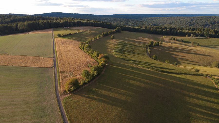DJI_0851